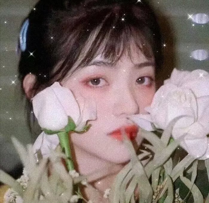 月球叛军：火之女导剪版